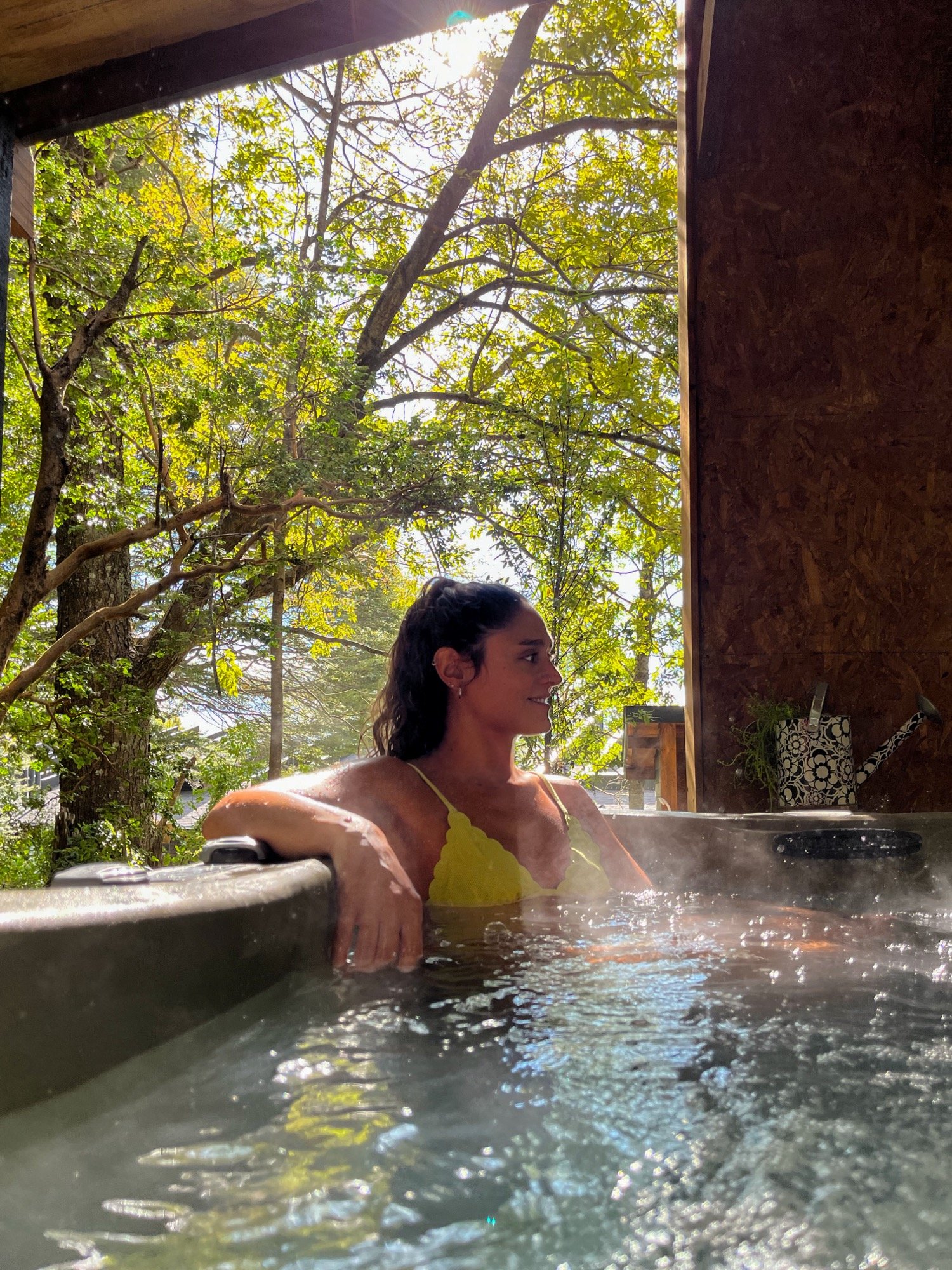 Hot tub de ciprés en el bosque
